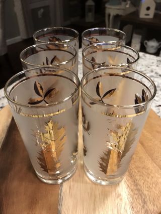 6 Vintage MCM Libbey Frosted Clear Gold Leaf Glasses Mid - Century 4