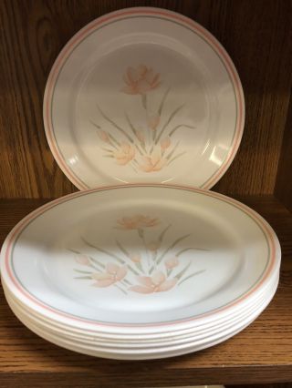 8 - Corelle Corning Peach Floral Dinner Plates