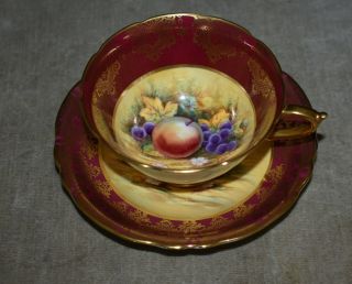 Vintage Paragon English Fine Bone China Orchard Teacup & Saucer Signed J.  Waters