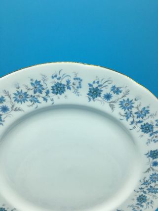Colclough Braganza Dinner Plates Blue Periwinkles,  Made In England,  Set of 4 3