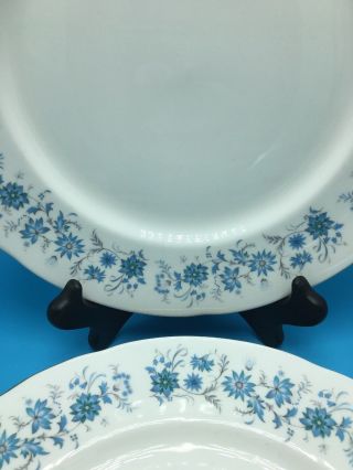 Colclough Braganza Dinner Plates Blue Periwinkles,  Made In England,  Set of 4 5