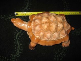 Chocolate Slag Turtle - Large