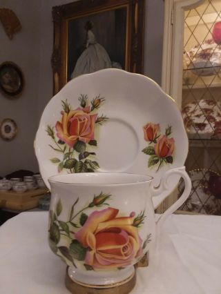 Royal Albert Bone China England Vintage Rose Tea Cup & Saucer