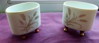 Ivory And Gold Wheat (2) Porcelain Limoges Containers On Pedestals