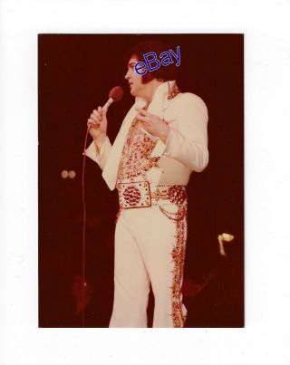 Elvis Presley Concert Photo - You Gave Me A Mountain 1977 - Jim Curtin