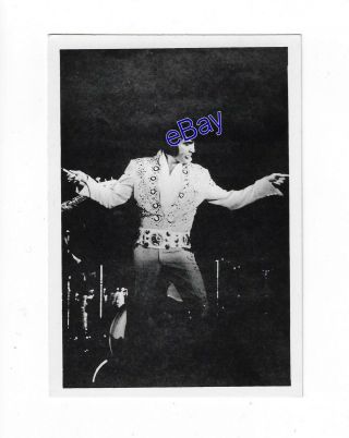 Elvis Presley Kodak Concert Photo - On Tour 1972 - Jim Curtin Vintage