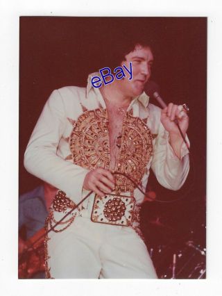 Elvis Presley Concert Photo - Sundial King 1977 - Jim Curtin Vintage