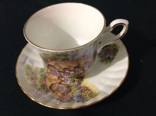Royal Stafford Bone China Cup & Saucer Country House Flower Garden Birds