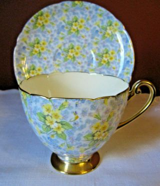 Shelley Primrose Chintz Cup & Saucer,  Gold Footed,  Ripon Shape England 13589
