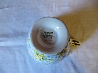 Shelley Primrose Chintz Cup & Saucer,  Gold Footed,  Ripon Shape England 13589 6