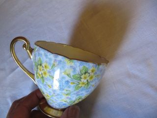 Shelley Primrose Chintz Cup & Saucer,  Gold Footed,  Ripon Shape England 13589 7