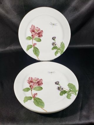 Corning Corelle Camellia Pattern Dinner Plates Set Of 4