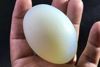 Estate Antique Or Vintage Blue Opaline Glass Large Nesting Egg Possibly French