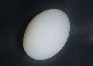 Estate Antique or Vintage Blue Opaline Glass Large Nesting Egg Possibly French 2