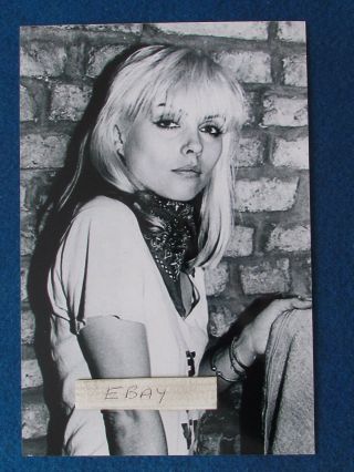 Blondie - Debbie Harry - 9 " X6 " Photo - E -