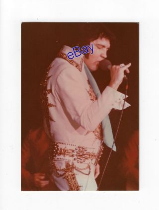Elvis Presley Concert Photo - Softly As I Leave You 1977 - Jim Curtin