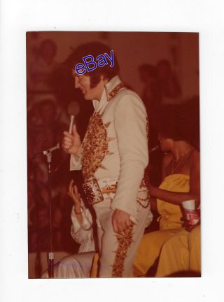 Elvis Presley Kodak Concert Photo - Spring Tours 1977 - Jim Curtin Rare