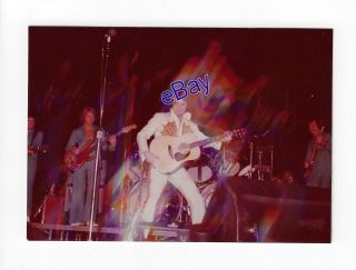 Elvis Presley Concert Photo - Rainbow 1977 - Jim Curtin Vintage Rare