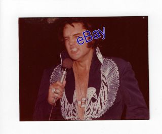 Elvis Presley Kodak Concert Photo - Navy Phoenix 1975 - Jim Curtin