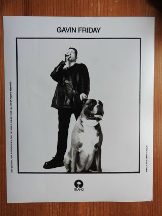 Gavin Friday Promo Press Photo 8x10 B&w
