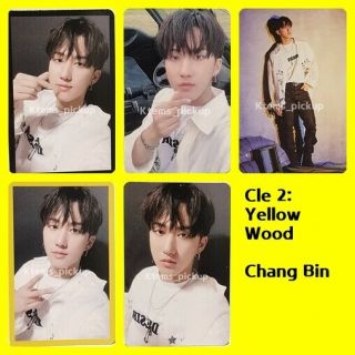Stray Kids Photocard Album Yellow Wood Official Photo Card : Changbin