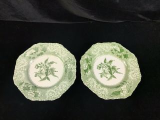 2 Antique Copeland Spode Porcelain Green Camilla 8” Salad Plates Made In England