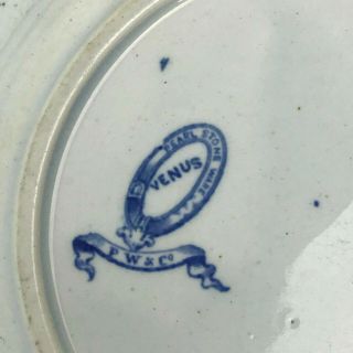 Antique 19th Century Staffordshire Blue Transferware Plate Venus Podmore Walker 4