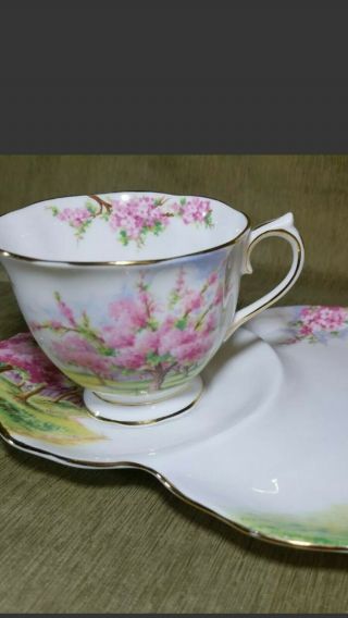 Royal Albert Bone China Tea Cup And Snack Saucer Plate " Blossom Time "