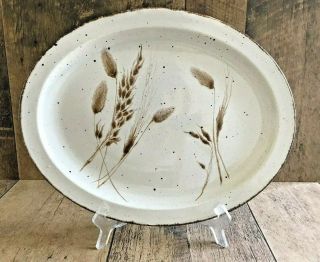 Vintage Midwinter Stonehenge Wild Oats Oval Platter 13.  5 " X 11 " Oven To Table
