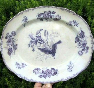1800s Antique English Ironstone China Serving Platter Plate Mulberry Lily Flower