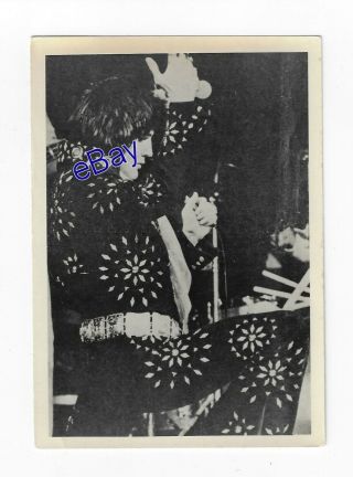 Elvis Presley Concert Photo - Black Fireworks Suit 1971 - Jim Curtin