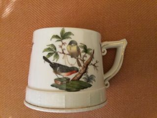 Handsome Herend Rothschild Bird Porcelain Handled Mug Vase Bowl Beer Stein