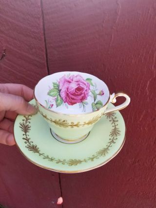 Soft Green Aynsley Teacup And Saucer Aynsley Cabbage Rose Tea Cup And Saucer