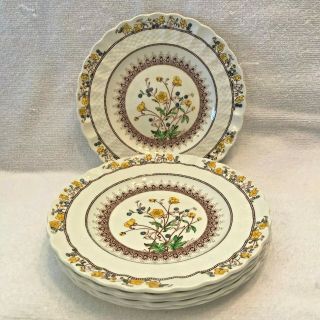 Set Of 6 Spode Buttercup 7 3/4 " Salad Plates - - - - Old Brown Mark
