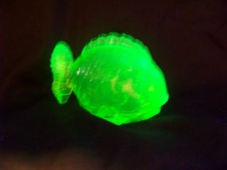 Vaseline Uranium Glass Chubby Fish Glow  ( (id177722))
