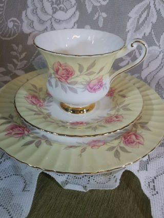 Paragon Fine Bone China Tea Cup And Saucer Trio Yellow With Roses,  Gold England