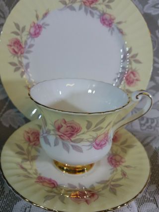 Paragon Fine Bone China Tea Cup and Saucer Trio Yellow with Roses,  Gold England 2