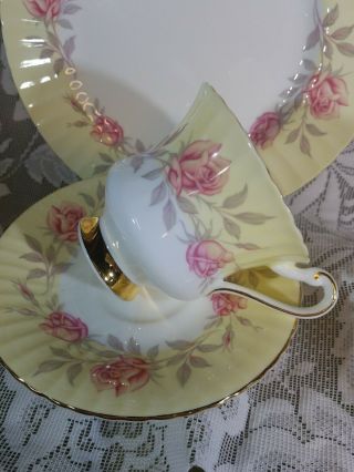 Paragon Fine Bone China Tea Cup and Saucer Trio Yellow with Roses,  Gold England 3