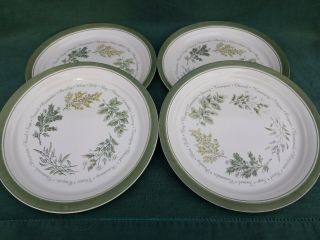 Discontinued Vintage Corelle Thymeless Herbs Set Of 4 Dinner Plates 10.  25 "