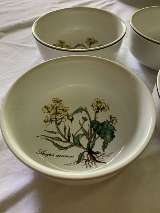Villeroy & Boch Botanica Cereal Bowls,  Set Of 4