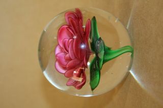 Dynasty Gallery Heirloom Collectibles Art Glass Paperweight Pink Peony 3 X 3 2