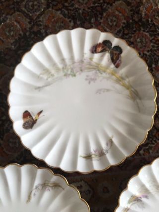 3 Haviland & Co Limoges France Porcelain Plates Butterflies Scalloped Edge 7