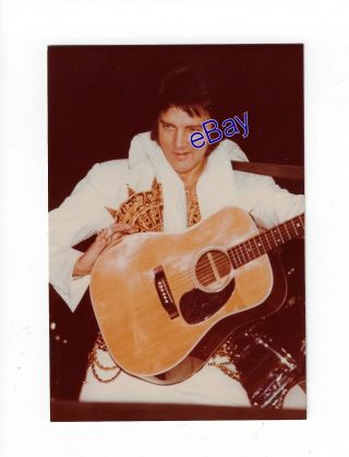 Elvis Presley Kodak Concert Photo - Last Tours 1977 - Jim Curtin Rare