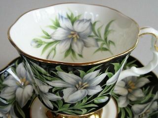 Royal Albert PROVINCIAL FLOWERS Madonna Lily Cup & Saucer 3