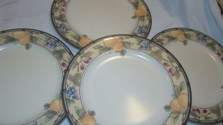 Great Set Of 4 Mikasa Garden Harvest Round Dinner Plates