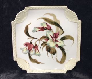 Antique C.  1889 Erdmann Schlegelmilch Gilt Shell Border Floral Cabinet Plate