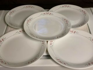 5 - Vintage Corelle Silk Blossoms 10 1/4 " Dinner Plates