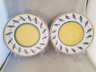 Set Of 2 Williams - Sonoma Tournesol Dinner Plates (made In Italy)
