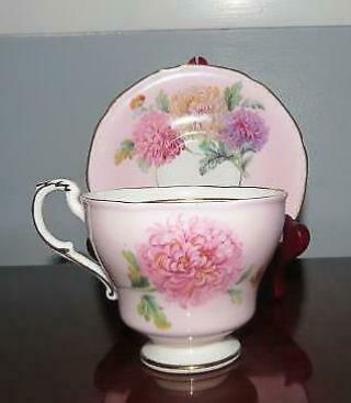 Vintage Rare Paragon Pink Chrysanthemum Teacup And Saucer W/ Gold Trim A1529/4