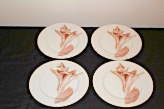 Fitz And Floyd Pink Coquille Pattern Salad Plates - Set Of 4